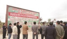 贵州毕节新闻爆料电话,揭露社会热点，倾听民声心声